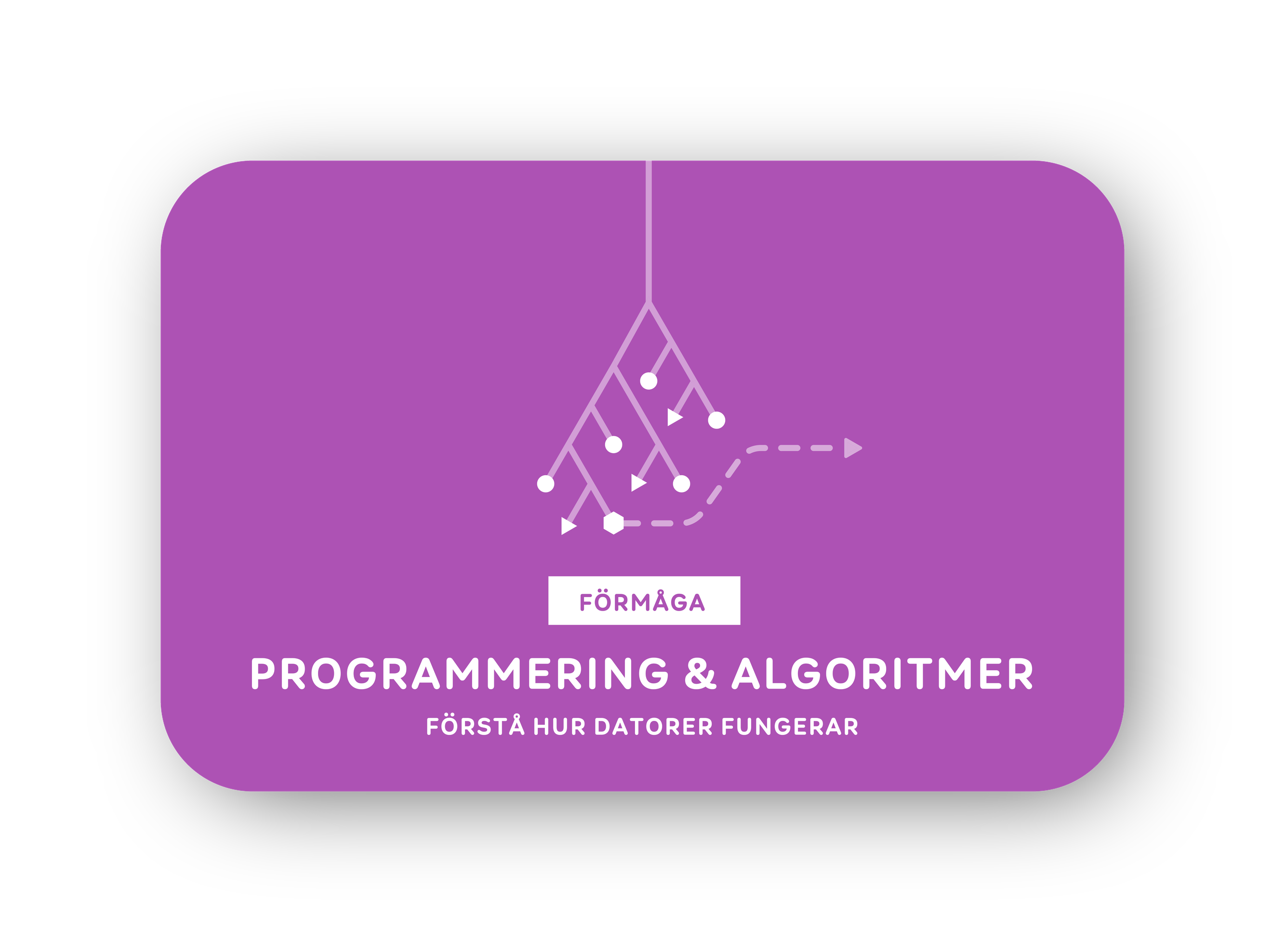 Programmering & algoritmer-kort